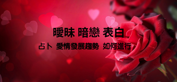 該表白嗎占卜